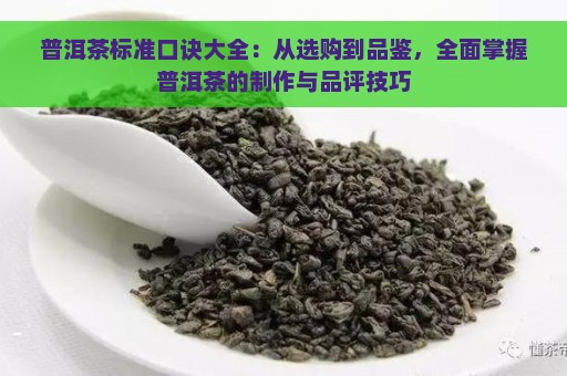 普洱茶标准口诀大全：从选购到品鉴，全面掌握普洱茶的制作与品评技巧