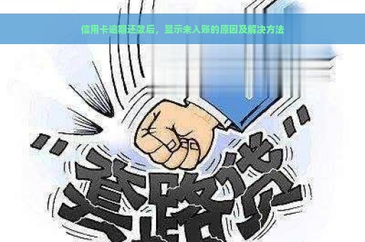 信用卡逾期还款后，显示未入账的原因及解决方法