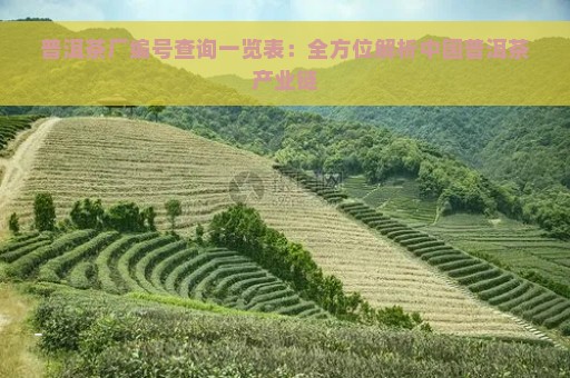 普洱茶厂编号查询一览表：全方位解析中国普洱茶产业链