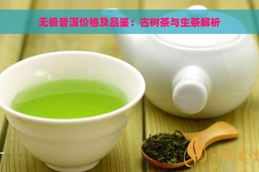 无极普洱价格及品鉴：古树茶与生茶解析