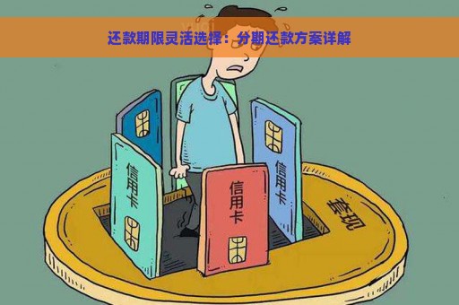 还款期限灵活选择：分期还款方案详解