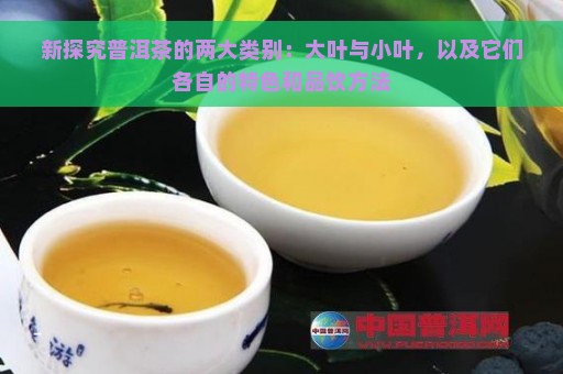 新探究普洱茶的两大类别：大叶与小叶，以及它们各自的特色和品饮方法