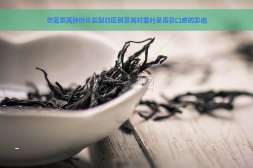 普洱茶两种叶片类型的区别及其对茶叶品质和口感的影响