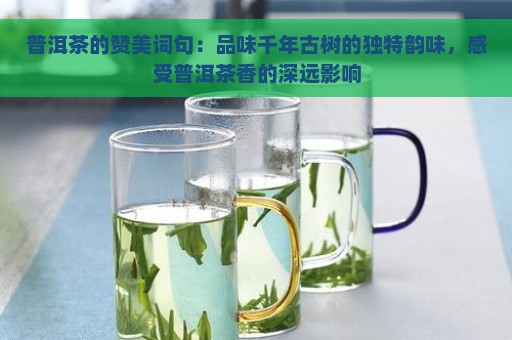 普洱茶的赞美词句：品味千年古树的独特韵味，感受普洱茶香的深远影响