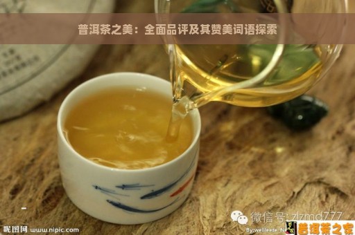 普洱茶之美：全面品评及其赞美词语探索