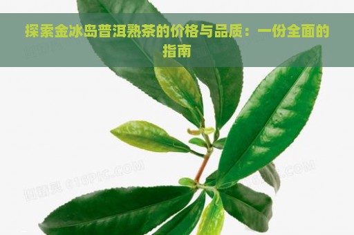 探索金冰岛普洱熟茶的价格与品质：一份全面的指南