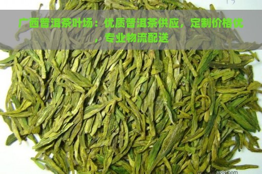 广西普洱茶叶场：优质普洱茶供应，定制价格优，专业物流配送