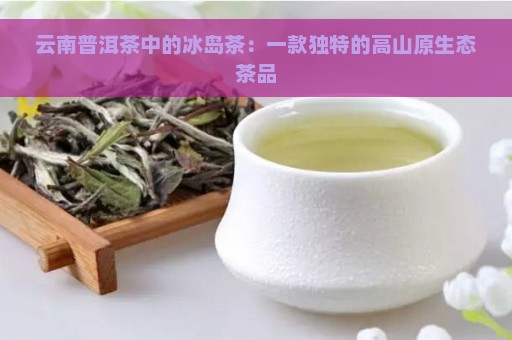 云南普洱茶中的冰岛茶：一款独特的高山原生态茶品