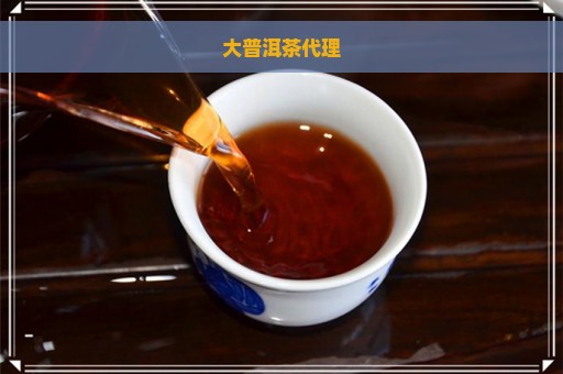 大普洱茶代理