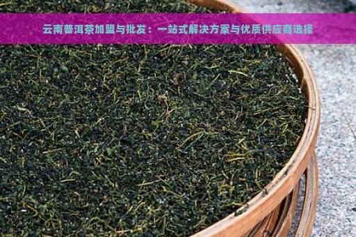 云南普洱茶加盟与批发：一站式解决方案与优质供应商选择