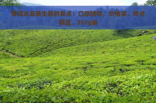 普洱冰岛茶生茶的卖点：口感独特，价格实，特点明显，357g装