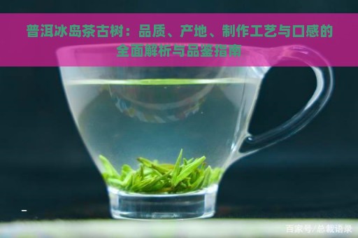 普洱冰岛茶古树：品质、产地、制作工艺与口感的全面解析与品鉴指南