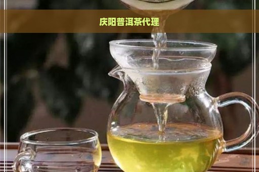 庆阳普洱茶代理