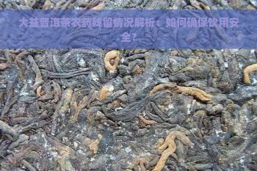 大益普洱茶农药残留情况解析：如何确保饮用安全？