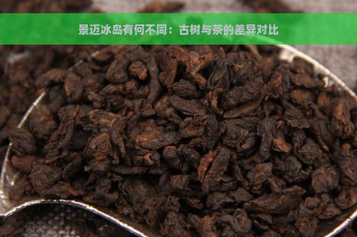 景迈冰岛有何不同：古树与茶的差异对比