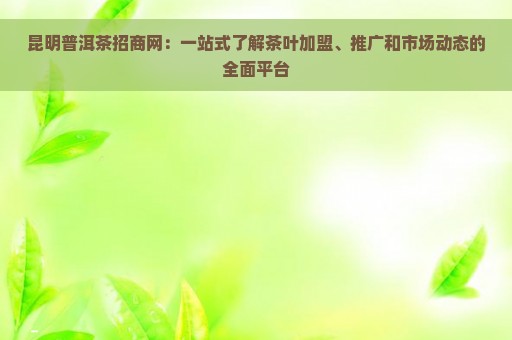 昆明普洱茶招商网：一站式了解茶叶加盟、推广和市场动态的全面平台