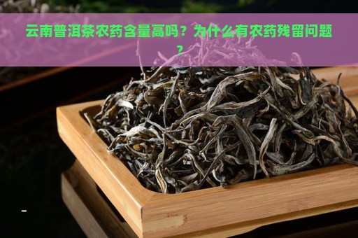 云南普洱茶农药含量高吗？为什么有农药残留问题？