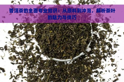 普洱茶的全面专业知识：从原料到冲泡，解析茶叶的魅力与技巧