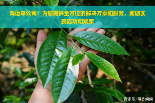 鸿运来公司：为您提供全方位的解决方案和服务，助您实现成功和繁荣