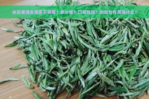 冰岛普洱生茶贵不贵呀？多少钱？口感如何？功效与作用是什么？