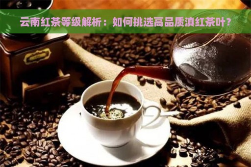 云南红茶等级解析：如何挑选高品质滇红茶叶？