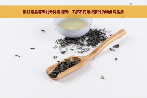 滇红茶品等级划分详细指南：了解不同等级茶叶的特点与品质