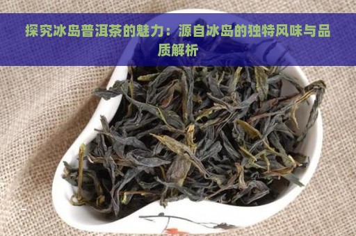 探究冰岛普洱茶的魅力：源自冰岛的独特风味与品质解析