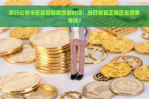 农行公务卡还款后额度恢复时间：当日恢复正常还是需要等待？