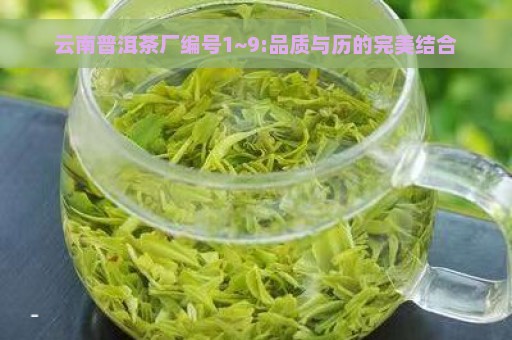 云南普洱茶厂编号1~9:品质与历的完美结合