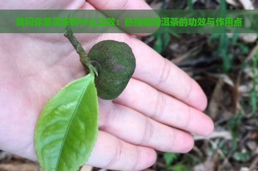 我问你普洱茶有什么功效：热搜榜普洱茶的功效与作用点