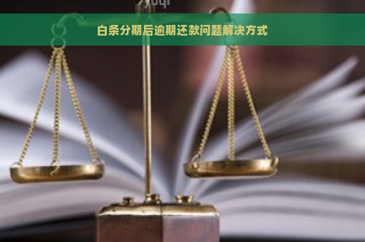 白条分期后逾期还款问题解决方式