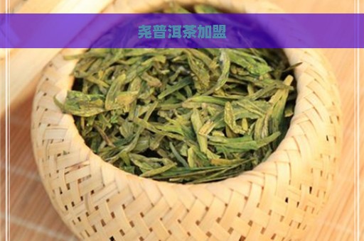 尧普洱茶加盟