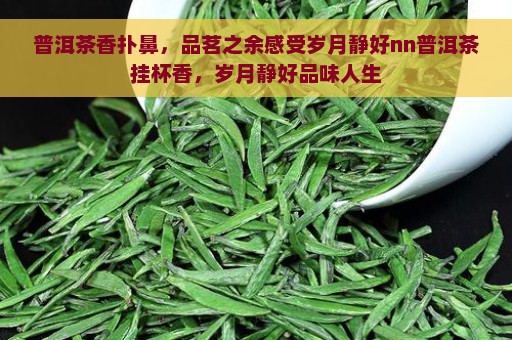 普洱茶香扑鼻，品茗之余感受岁月静好nn普洱茶挂杯香，岁月静好品味人生