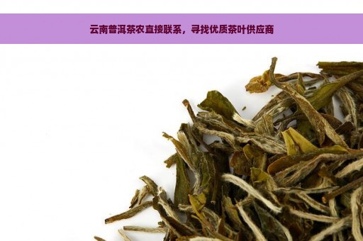 云南普洱茶农直接联系，寻找优质茶叶供应商