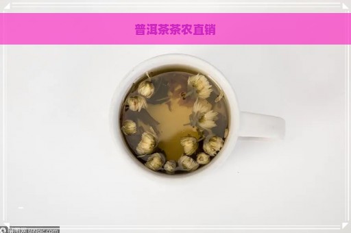 普洱茶茶农直销