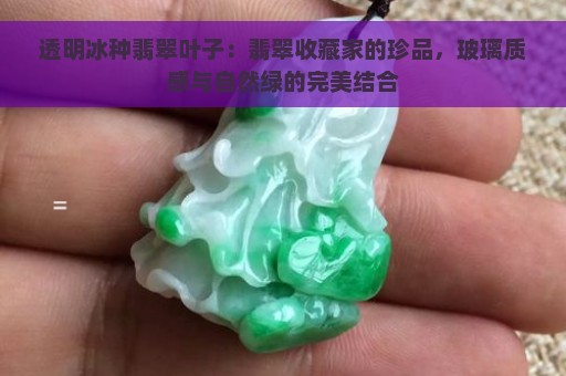 透明冰种翡翠叶子：翡翠收藏家的珍品，玻璃质感与自然绿的完美结合