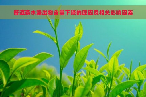 普洱茶水浸出物含量下降的原因及相关影响因素