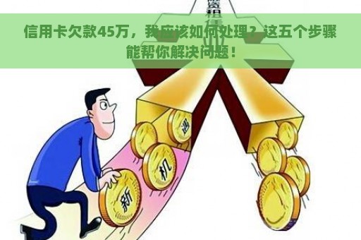 信用卡欠款45万，我应该如何处理？这五个步骤能帮你解决问题！