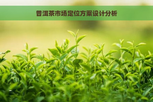 普洱茶市场定位方案设计分析