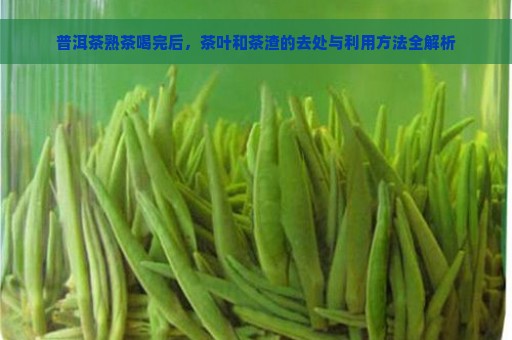 普洱茶熟茶喝完后，茶叶和茶渣的去处与利用方法全解析