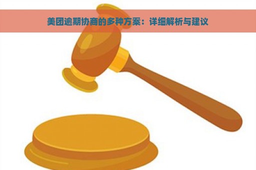 美团逾期协商的多种方案：详细解析与建议