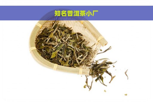 知名普洱茶小厂