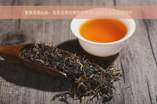 景普洱茶山头：探索云南古树茶的魅力、制作工艺及品尝技巧