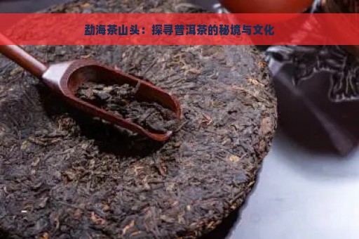 勐海茶山头：探寻普洱茶的秘境与文化