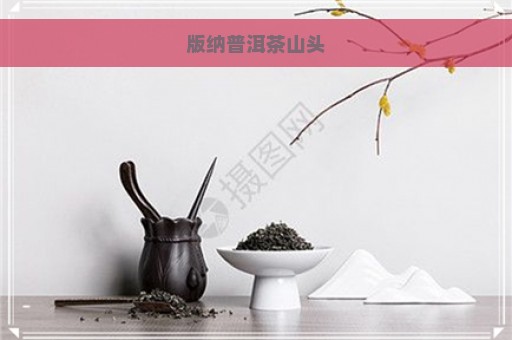 版纳普洱茶山头