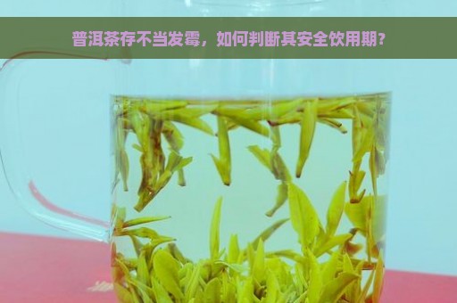 普洱茶存不当发霉，如何判断其安全饮用期？