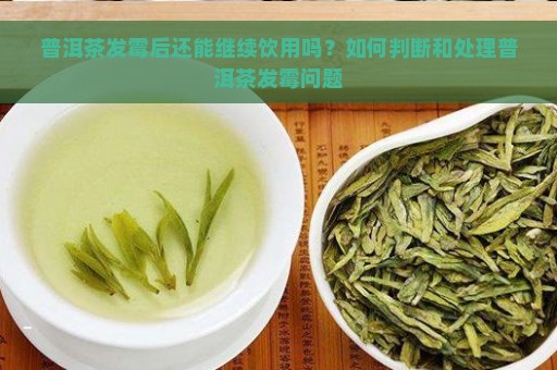 普洱茶发霉后还能继续饮用吗？如何判断和处理普洱茶发霉问题