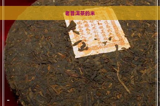 老普洱茶的米