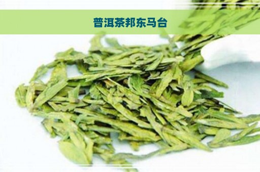 普洱茶邦东马台