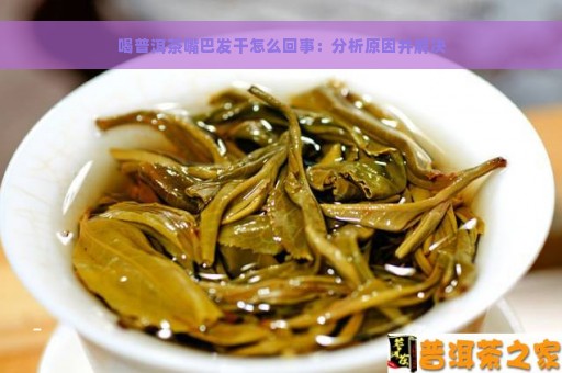 喝普洱茶嘴巴发干怎么回事：分析原因并解决